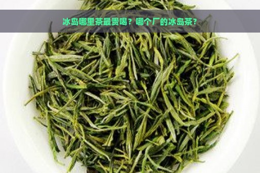 冰岛哪里茶最贵喝？哪个厂的冰岛茶？