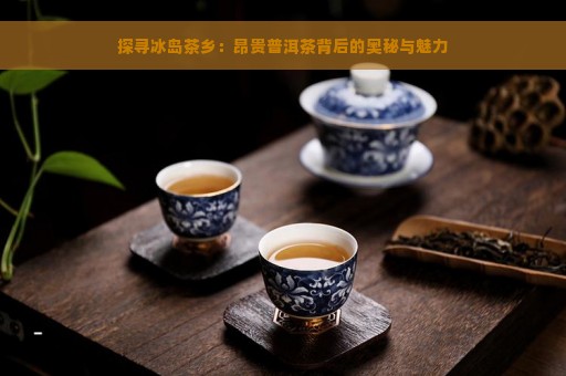 探寻冰岛茶乡：昂贵普洱茶背后的奥秘与魅力