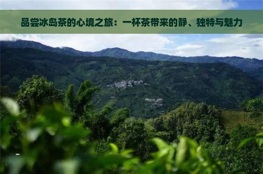 品尝冰岛茶的心境之旅：一杯茶带来的静、独特与魅力