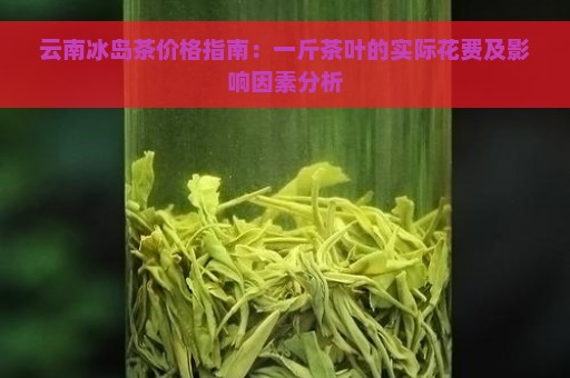 云南冰岛茶价格指南：一斤茶叶的实际花费及影响因素分析