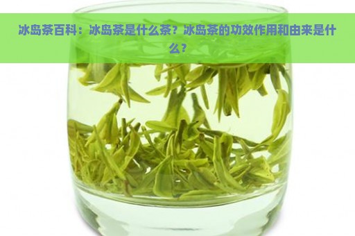 冰岛茶百科：冰岛茶是什么茶？冰岛茶的功效作用和由来是什么？