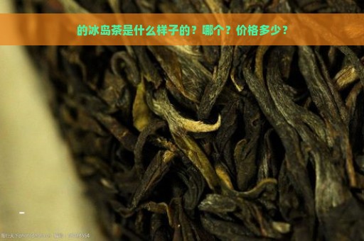 的冰岛茶是什么样子的？哪个？价格多少？