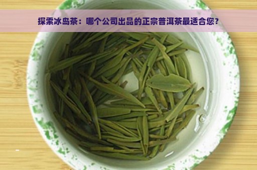 探索冰岛茶：哪个公司出品的正宗普洱茶最适合您？