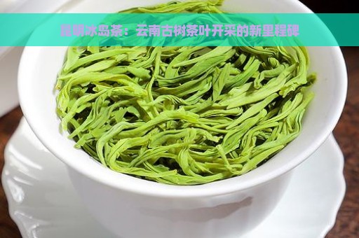 昆明冰岛茶：云南古树茶叶开采的新里程碑