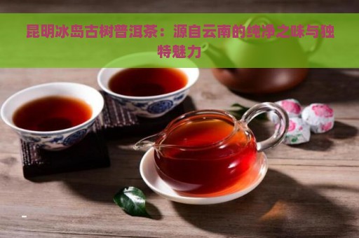 昆明冰岛古树普洱茶：源自云南的纯净之味与独特魅力