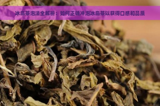 冰岛茶泡法全解析：如何正确冲泡冰岛茶以获得口感和品质