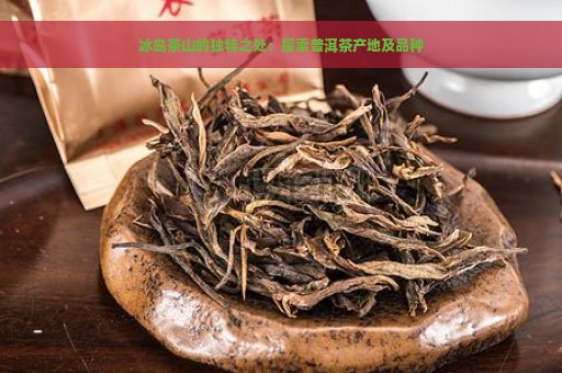 冰岛茶山的独特之处：探索普洱茶产地及品种