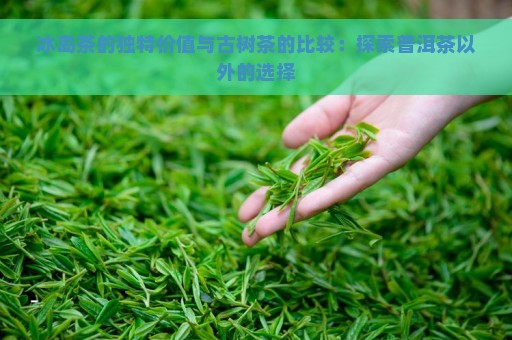 冰岛茶的独特价值与古树茶的比较：探索普洱茶以外的选择