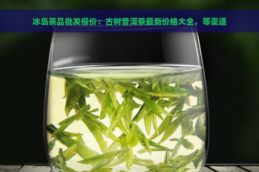 冰岛茶品批发报价：古树普洱茶最新价格大全，等渠道