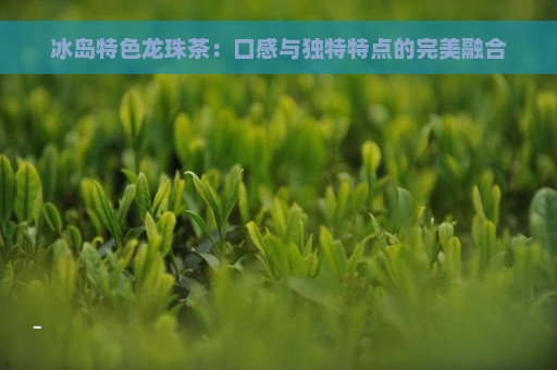 冰岛特色龙珠茶：口感与独特特点的完美融合