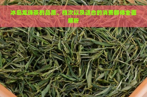 冰岛龙珠茶的品质、档次以及适合的消费群体全面解析