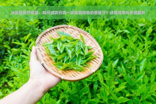 冰岛茶餐厅加盟：如何成功开设一家独具特色的茶餐厅？详细指南与步骤解析