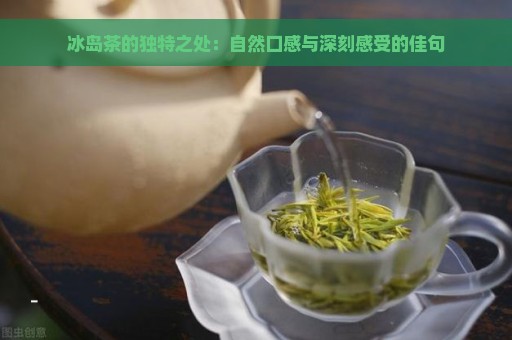 冰岛茶的独特之处：自然口感与深刻感受的佳句