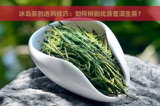 冰岛茶的选购技巧：如何辨别优质普洱生茶？