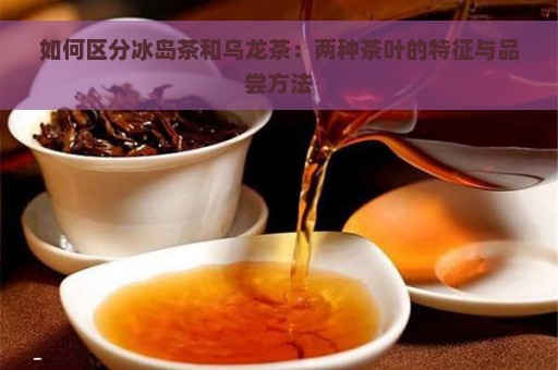 如何区分冰岛茶和乌龙茶：两种茶叶的特征与品尝方法