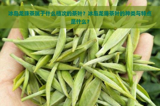 冰岛龙珠茶属于什么档次的茶叶？冰岛龙珠茶叶的种类与特点是什么？