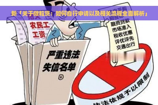 新「关于微粒贷：如何自行申请以及相关流程全面解析」