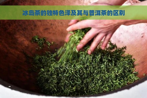 冰岛茶的独特色泽及其与普洱茶的区别