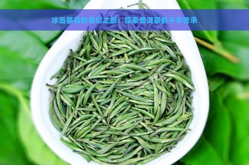 冰岛茶后的奇幻之旅：探索普洱茶的千年传承