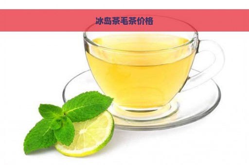 冰岛茶毛茶价格