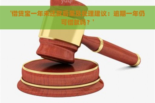 '借贷宝一年未还款后果及处理建议：逾期一年仍可借款吗？'