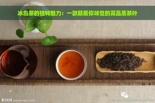 冰岛茶的独特魅力：一款颠覆你味觉的高品质茶叶