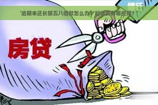 '逾期未还长银五八借款怎么办？起诉前有哪些措？'