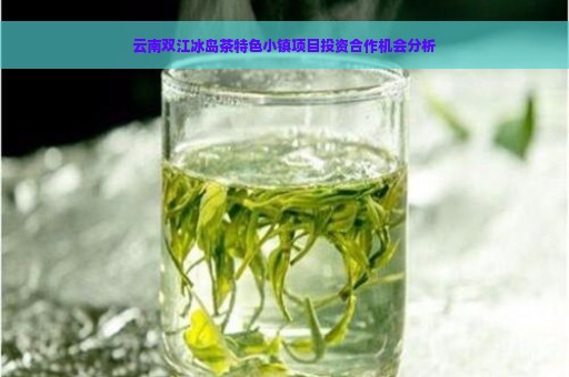 云南双江冰岛茶特色小镇项目投资合作机会分析