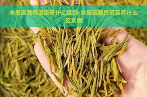 冰岛茶跟普洱茶有什么区别-冰岛茶跟普洱茶有什么区别呢