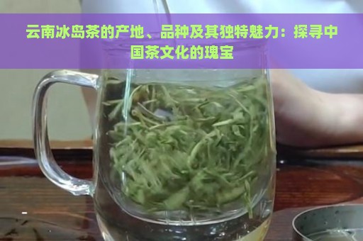 云南冰岛茶的产地、品种及其独特魅力：探寻中国茶文化的瑰宝