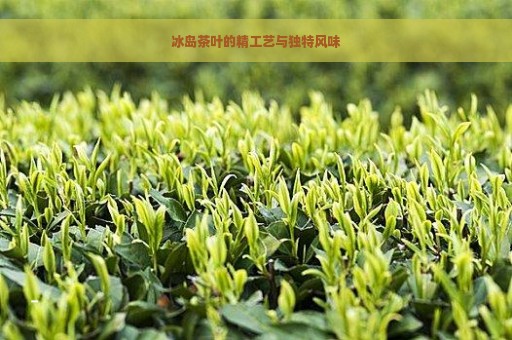 冰岛茶叶的精工艺与独特风味