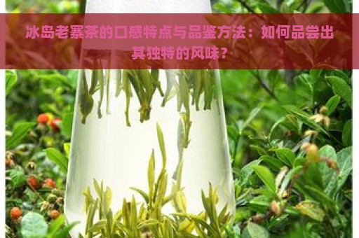 冰岛老寨茶的口感特点与品鉴方法：如何品尝出其独特的风味？