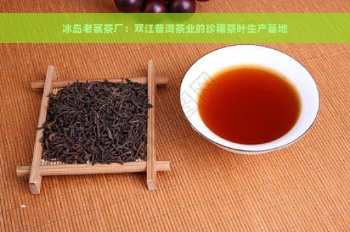 冰岛老寨茶厂：双江普洱茶业的珍稀茶叶生产基地