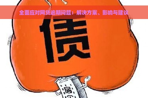 全面应对网贷逾期问题：解决方案、影响与建议