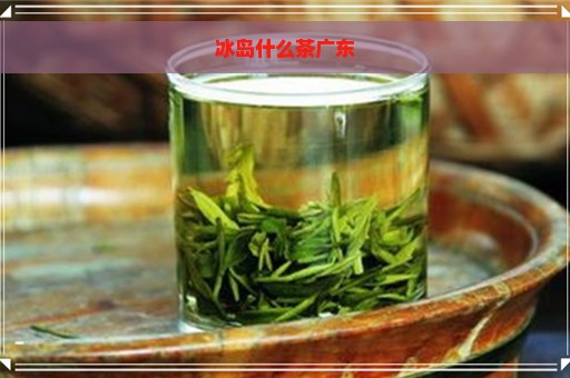 冰岛什么茶广东