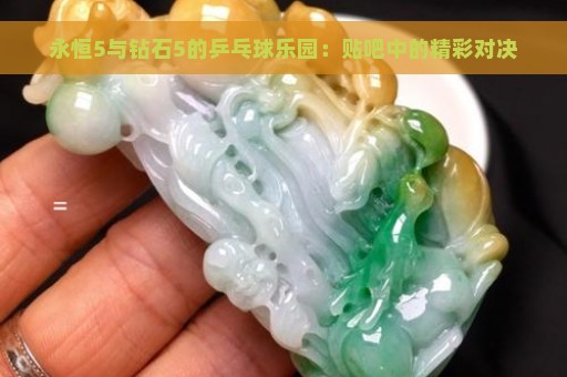 永恒5与钻石5的乒乓球乐园：贴吧中的精彩对决