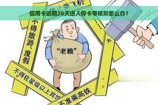 信用卡逾期20天进入停卡审核阶怎么办？