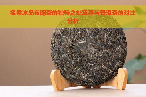 探索冰岛布朗茶的独特之处及其与普洱茶的对比分析