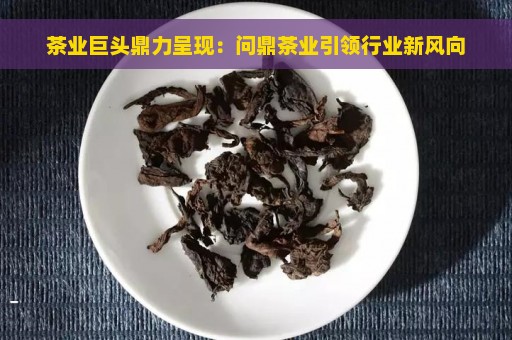 茶业巨头鼎力呈现：问鼎茶业引领行业新风向