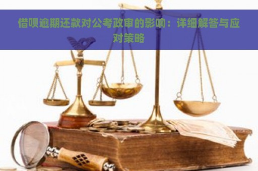 借呗逾期还款对公考政审的影响：详细解答与应对策略