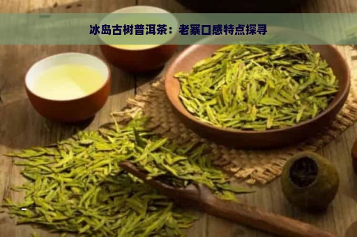 冰岛古树普洱茶：老寨口感特点探寻