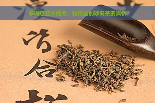 掌握这些关键点，轻松鉴别冰岛茶的真伪