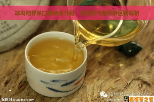 冰岛地界茶口感特点介绍：古树茶与地界茶区别解析