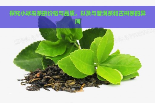 探究小冰岛茶的价格与品质，以及与普洱茶和古树茶的异同