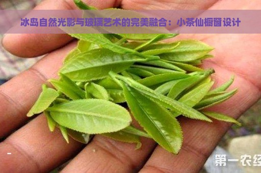 冰岛自然光影与玻璃艺术的完美融合：小茶仙橱窗设计