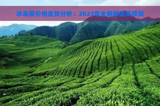 冰岛茶价格走势分析：2023年全新解读及预测