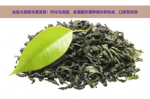 冰岛大树茶与普洱茶：对比与选择，全面解析两种茶叶的特点、口感和功效