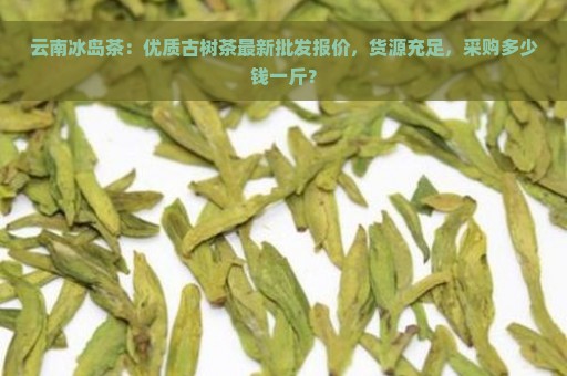 云南冰岛茶：优质古树茶最新批发报价，货源充足，采购多少钱一斤？