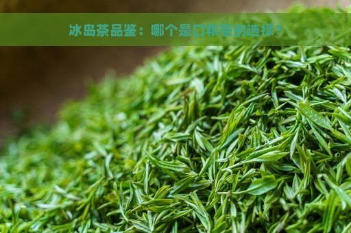 冰岛茶品鉴：哪个是口粮茶的选择？