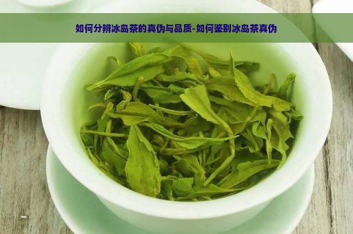 如何分辨冰岛茶的真伪与品质-如何鉴别冰岛茶真伪